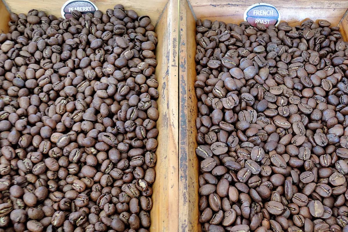 Cà phê phơi trên khay gỗ